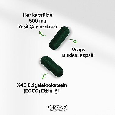 Ocean Yeşil Çay Ekstresi 500 mg 60 Kapsül - 3