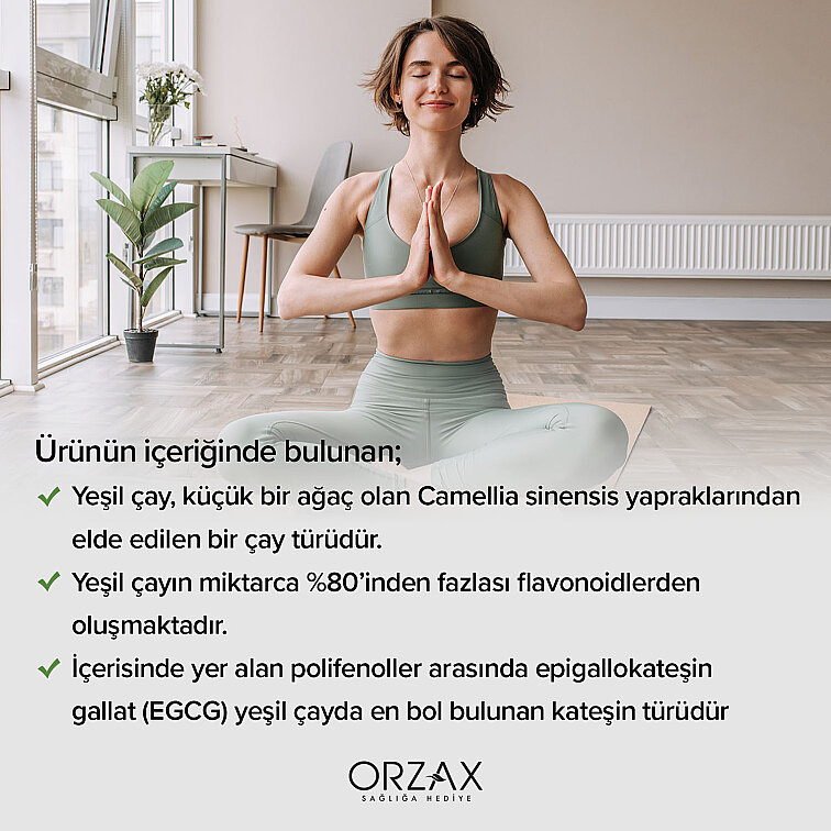 Ocean Yeşil Çay Ekstresi 500 mg 60 Kapsül - 4
